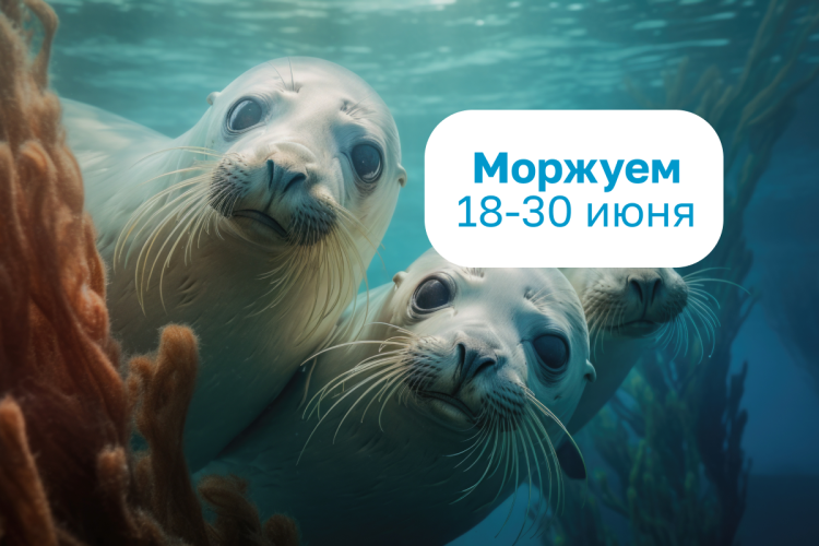 Билеты по специальным ценам